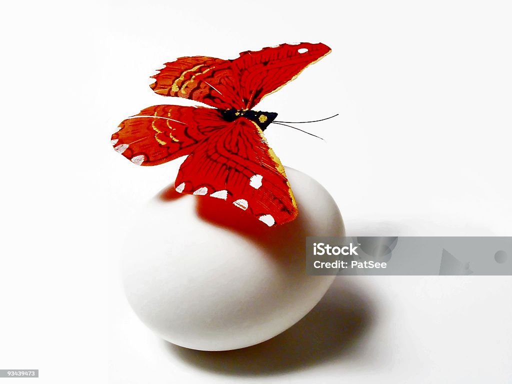 Anidar Egg? - Foto de stock de Mariposa - Lepidópteros libre de derechos