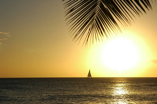 Sailboat in the Hawaiian Sun stock photo