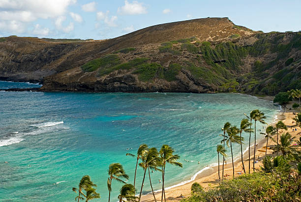istock Hanauma Bay and Snorkeling 93439575