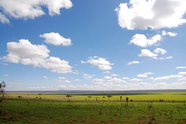 istock tarangire national park, tanzania 93439766