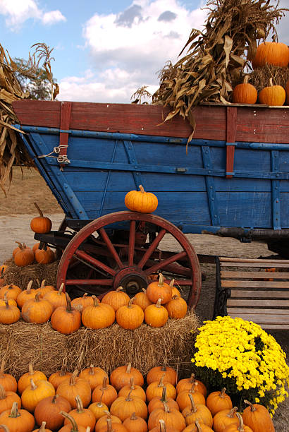 Pumpkin Ride stock photo