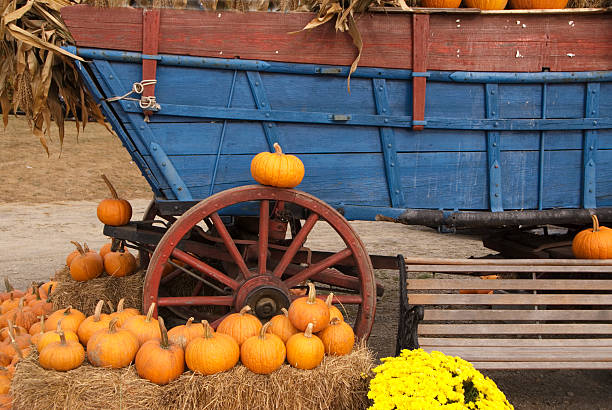 Farm Wagon and Pumpkins stock photo