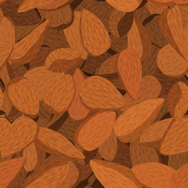 bezszwowy wzór z migdałami - cereal plant processed grains variation backgrounds stock illustrations