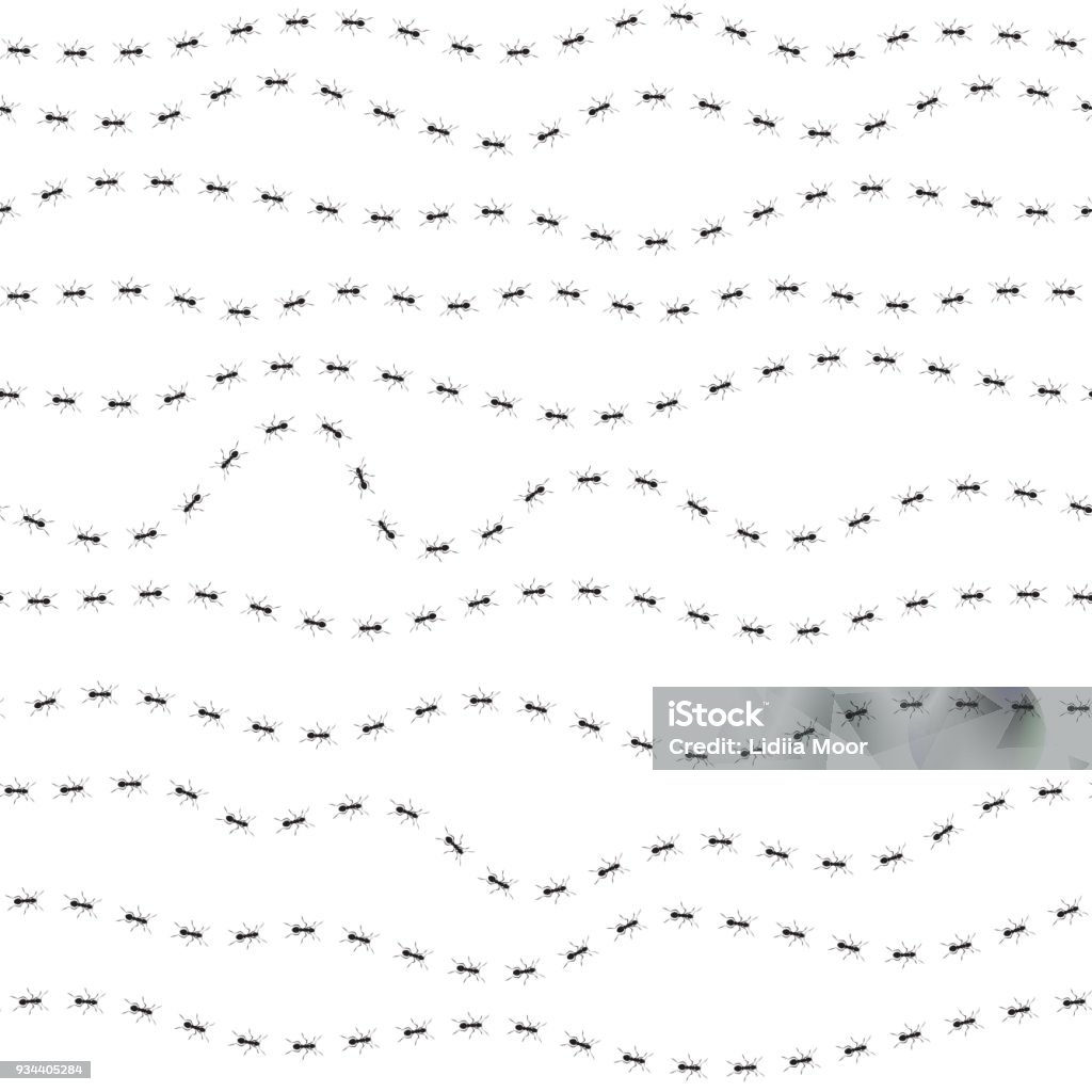 Seamless pattern with ants Seamless white pattern with creeping ants, ant tracks Ant stock vector