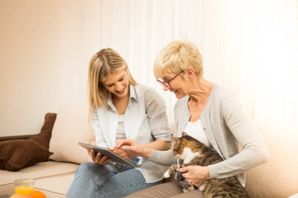 istock ordering cat food online, online pet shopping. 934408016
