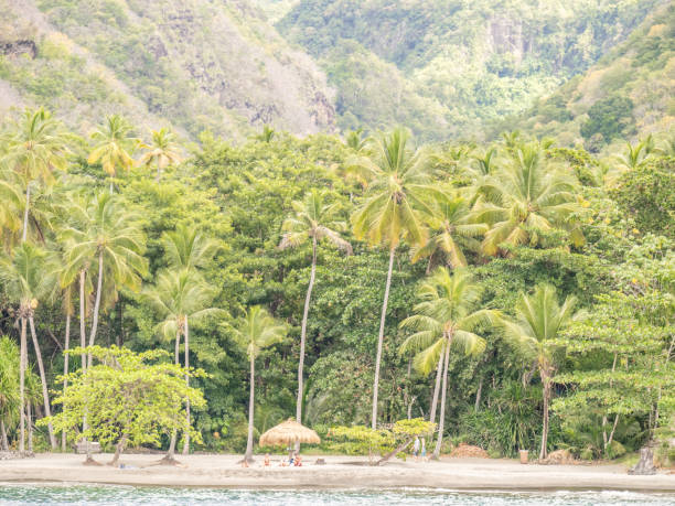 istock Shoreline of Saint Lucia, West Indies 934413950