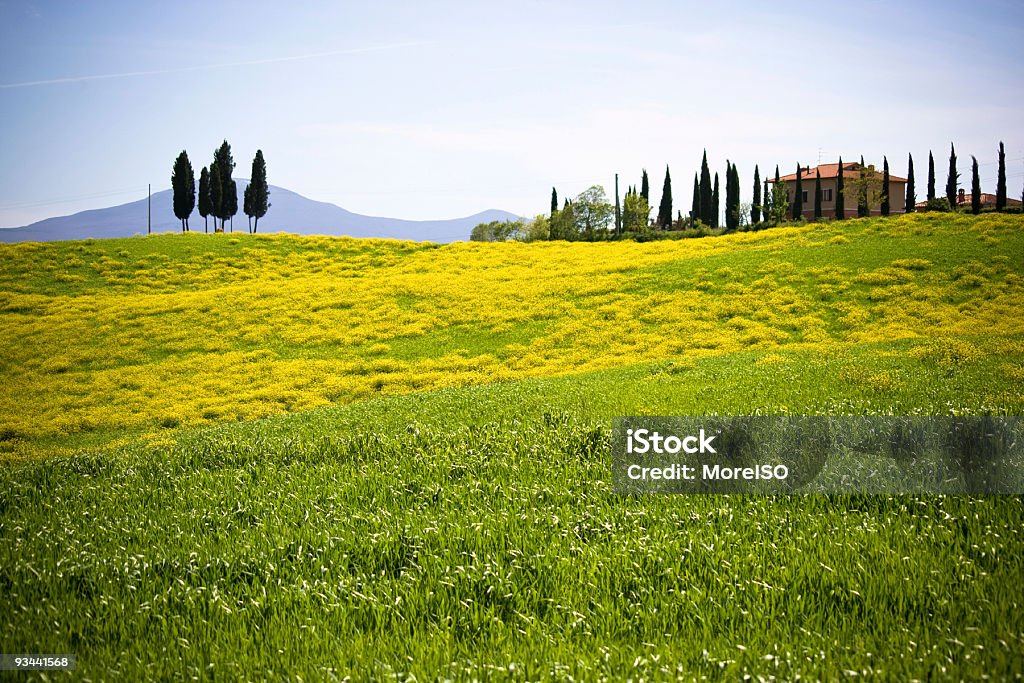 Тосканская Фермерский дом - Стоковые фото Аренда дома роялти-фри