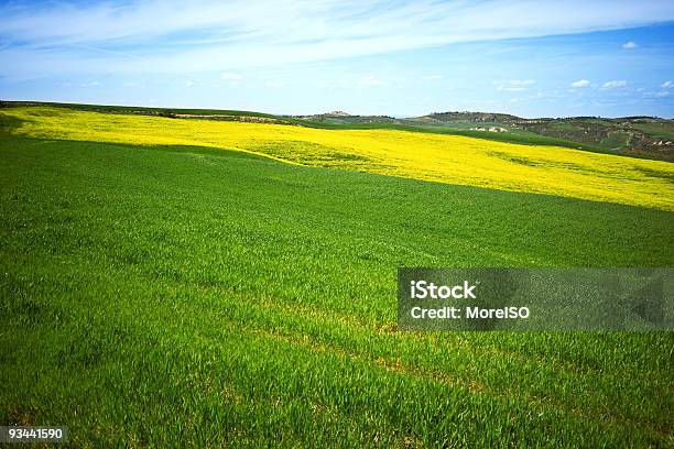 Toskańskiej Pola - zdjęcia stockowe i więcej obrazów Bez ludzi - Bez ludzi, Fotografika, Horyzontalny