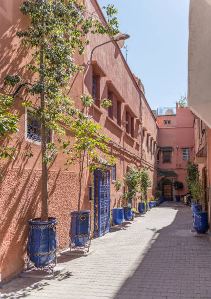 istock Side street with plants in old town Marrakesh 934423062