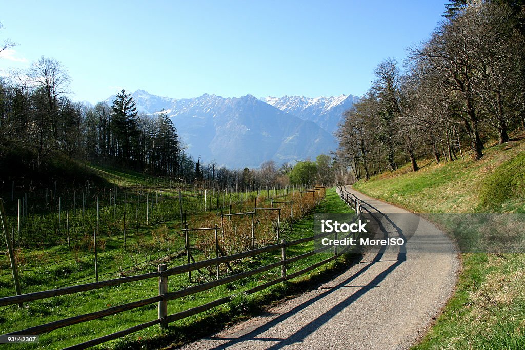 Country road - Lizenzfrei Agrarbetrieb Stock-Foto