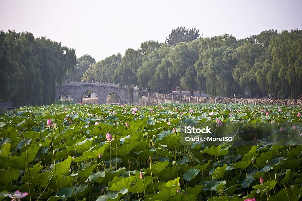 Beijing Imperial See Beihai - Lizenzfrei Architektur Stock-Foto