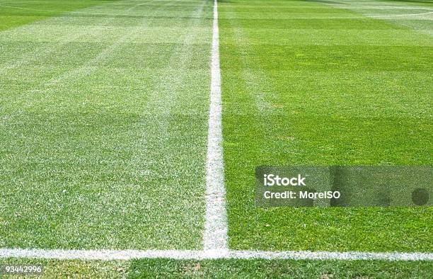 Soccer Field Stock Photo - Download Image Now - Grass, Nature, Soccer Field