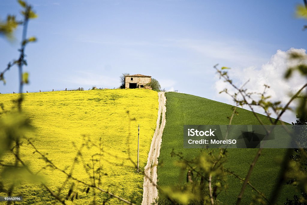 Toscana - Foto stock royalty-free di Ambientazione esterna