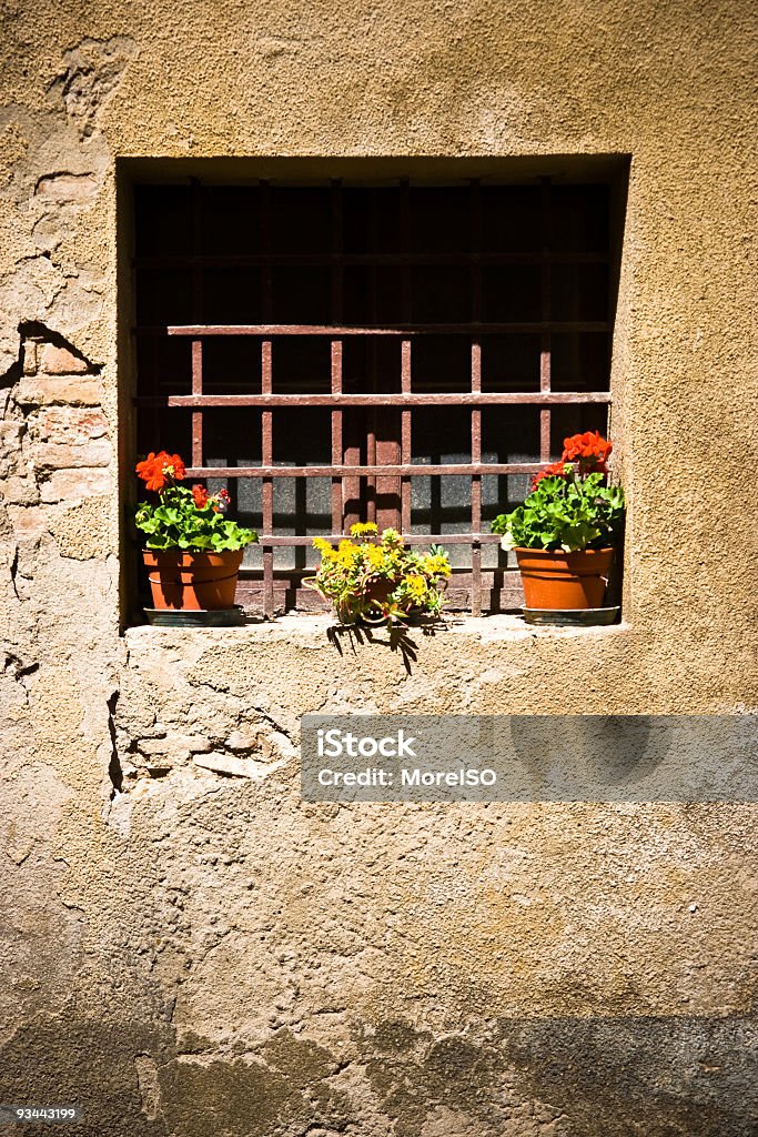 メタルグリッドウィンドウの花 - イタリアのロイヤリティフリーストックフォト