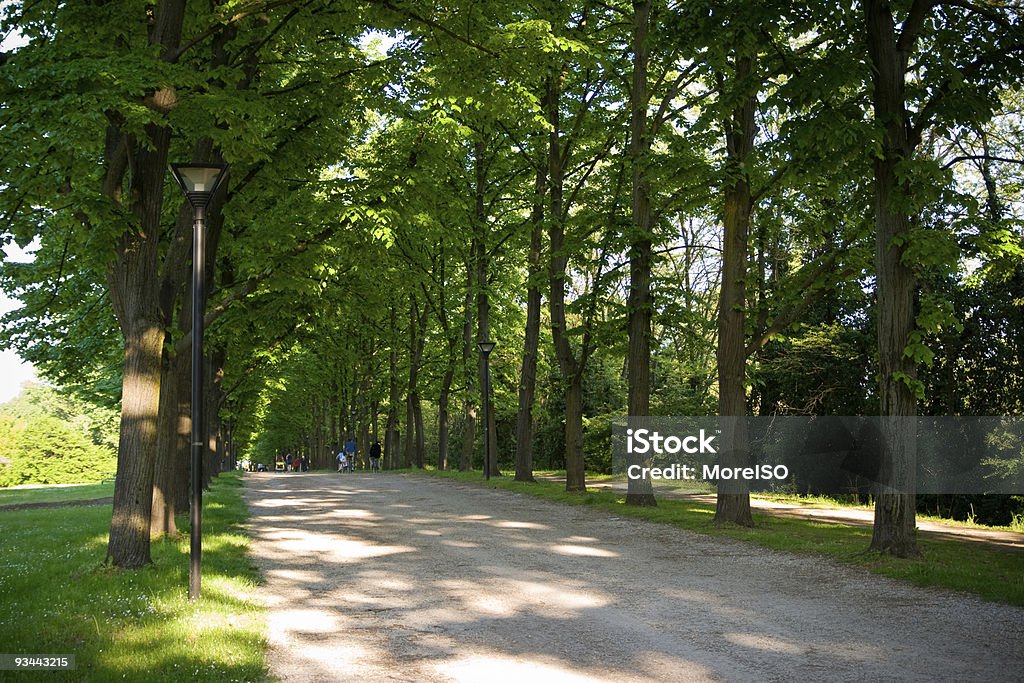 Beautiful countryroad Countryroad in spring. This medieval road is located in Ferrara (Italy) and is an Unesco World Heritage Site. Backgrounds Stock Photo