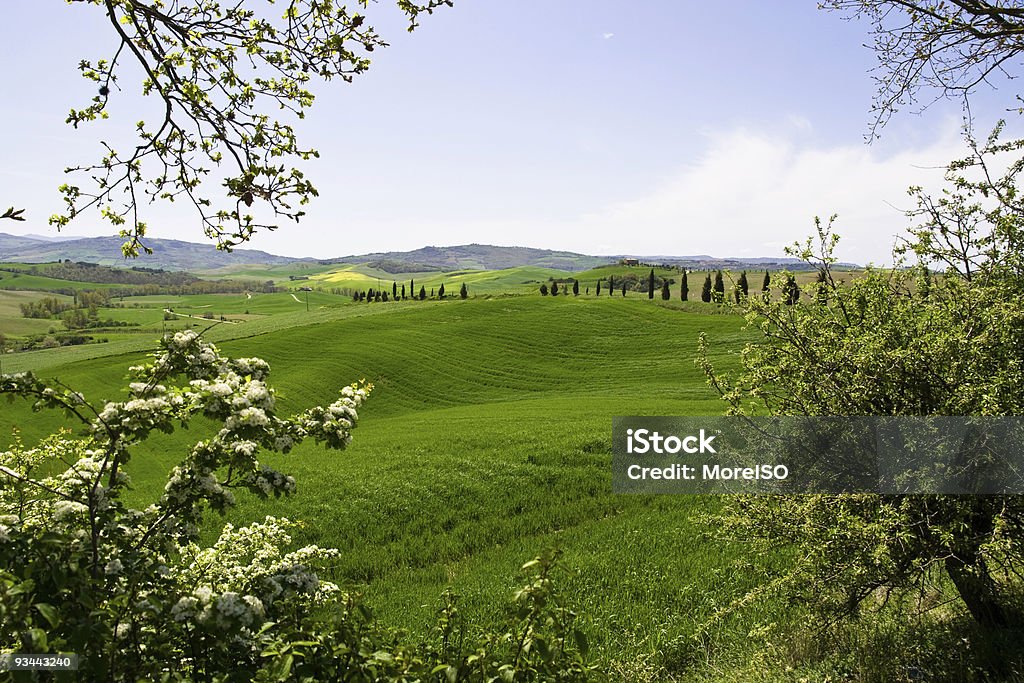 Paysage de Toscane - Photo de Champ libre de droits
