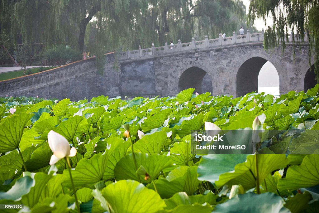 Beijing Imperial Beihai Lake - Zbiór zdjęć royalty-free (Architektura)