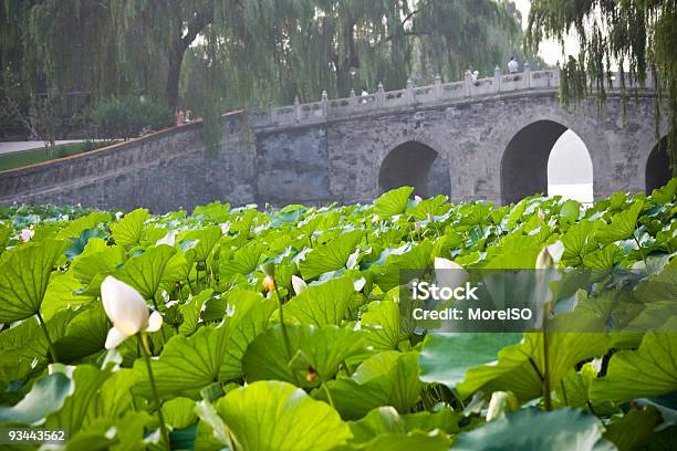 Beijing Imperial Beihai Lake - zdjęcia stockowe i więcej obrazów Architektura - Architektura, Bagno, Beihai Lake