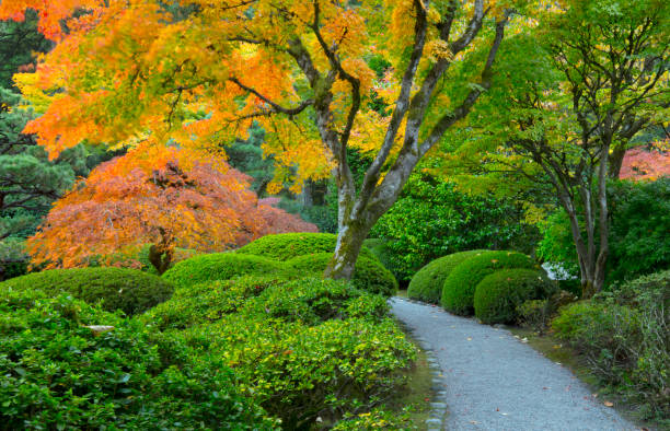 istock Portland Japanese Garden footpath. 934439436