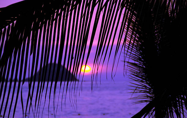 Purple Sunset stock photo