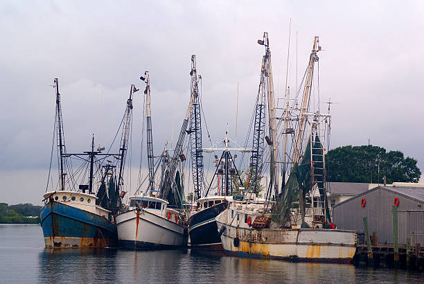 Fishing Trawlers stock photo