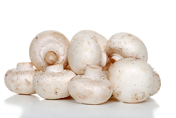 istock Isolated pile of white mushrooms 93445106