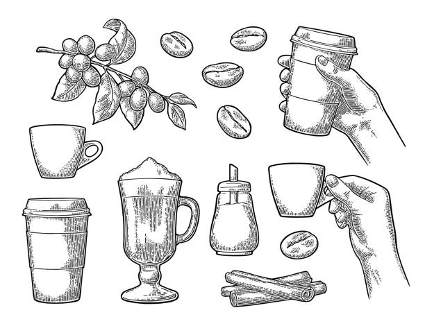 ilustrações de stock, clip art, desenhos animados e ícones de set coffee. glass latte, hand hold cup. branch with beans - chávena ilustrações