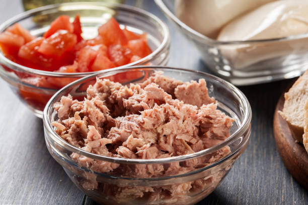 istock Ingredients ready for preparing bruschetta with tuna, mozzarella cheese and tomatoes 934466614