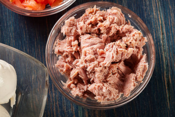 istock Ingredients ready for preparing bruschetta with tuna, mozzarella cheese and tomatoes 934472866