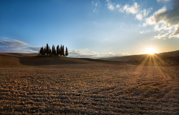 istock Typical landscape of Tuscany 934475690