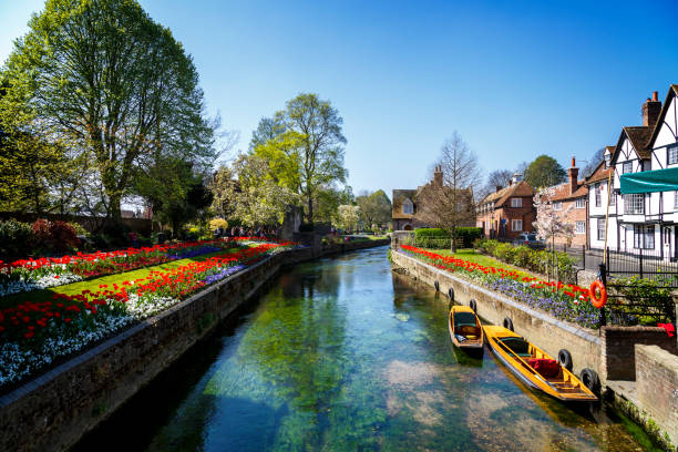 Canterbury Canal Canterbury, England - A shot looking up one of the many beautiful canals of Canterbury.  This city can be found in the South East of England and is extremely popular with tourists from all over the world.  Tourists can take punting tours on the canal. canterbury england photos stock pictures, royalty-free photos & images