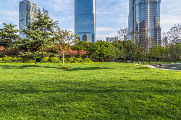 istock Green city against clear sky,shanghai 934488826