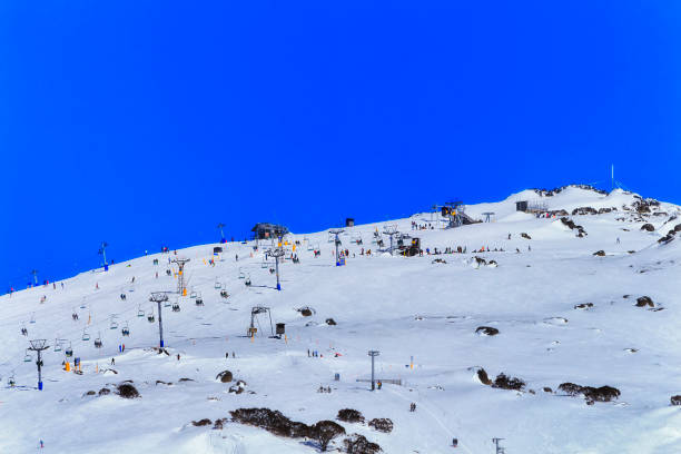 sm perisher 백 산 블루 텔 레 - kosciuszko national park 뉴스 사진 이미지