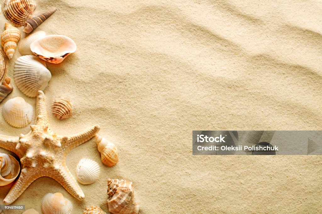 Seashells and starfish on sand top view of sandy background with dunes, seashells and starfish Beach Stock Photo