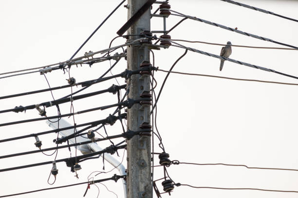 Birds are on the wires.