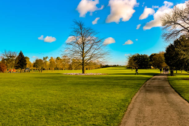 istock Irish park in kilkenny in the winter time 934538370
