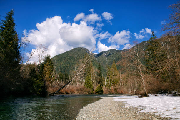 Creek, Maple Ridge, BC, Canada A creek on a sunny Spring afternoon, Golden Ears Provincial Park. shadow british columbia landscape cloudscape stock pictures, royalty-free photos & images