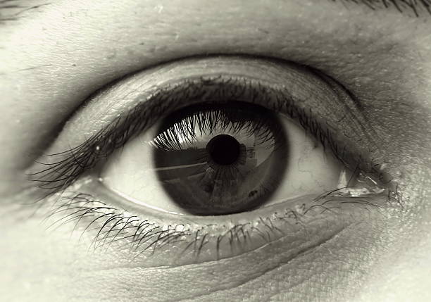 istock Closeup of eye in monochrome 93455597