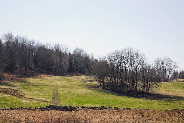 istock Eastern Townships, Country landscape 93455849