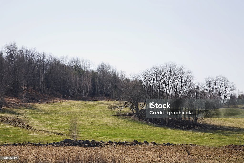 Eastern Townships, Country landscape  Agricultural Field Stock Photo