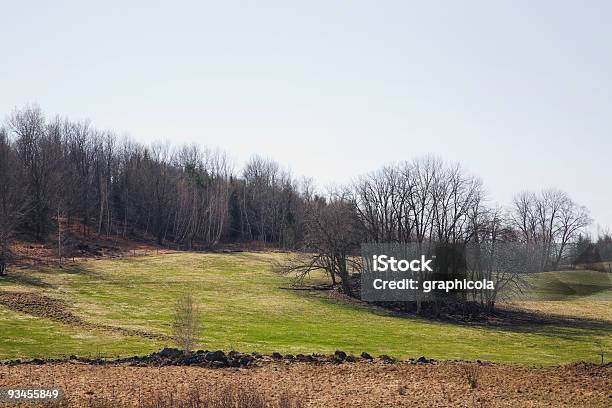 Eastern Townships Country Landscape Stock Photo - Download Image Now - Agricultural Field, Autumn, Back Lit