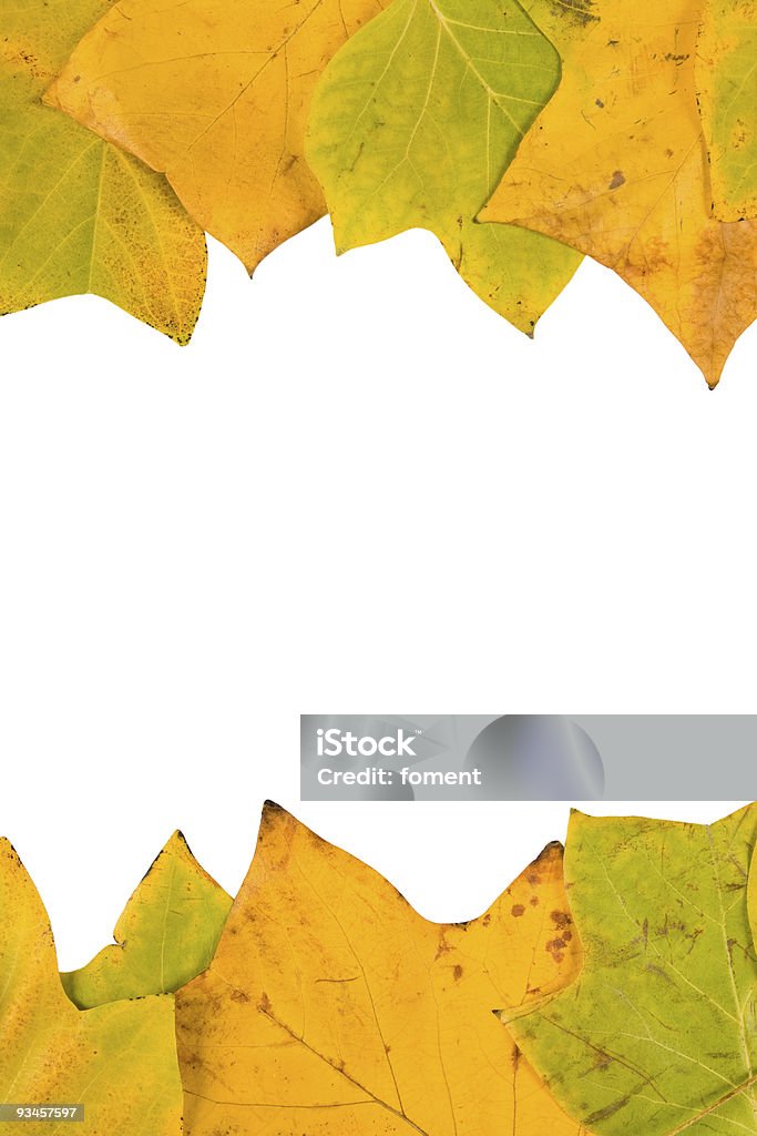 Herbstszenen - Lizenzfrei Ahorn Stock-Foto