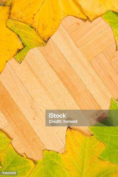 단풍 바닥용 0명에 대한 스톡 사진 및 기타 이미지 - 0명, 가을, 갈색