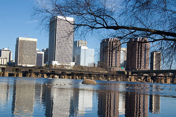 istock Geese swimming through Richmond Cityscape 93458295