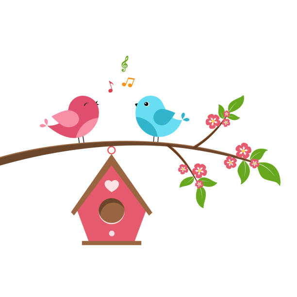 ilustraciones, imágenes clip art, dibujos animados e iconos de stock de canta pájaro - birdhouse animal nest house residential structure