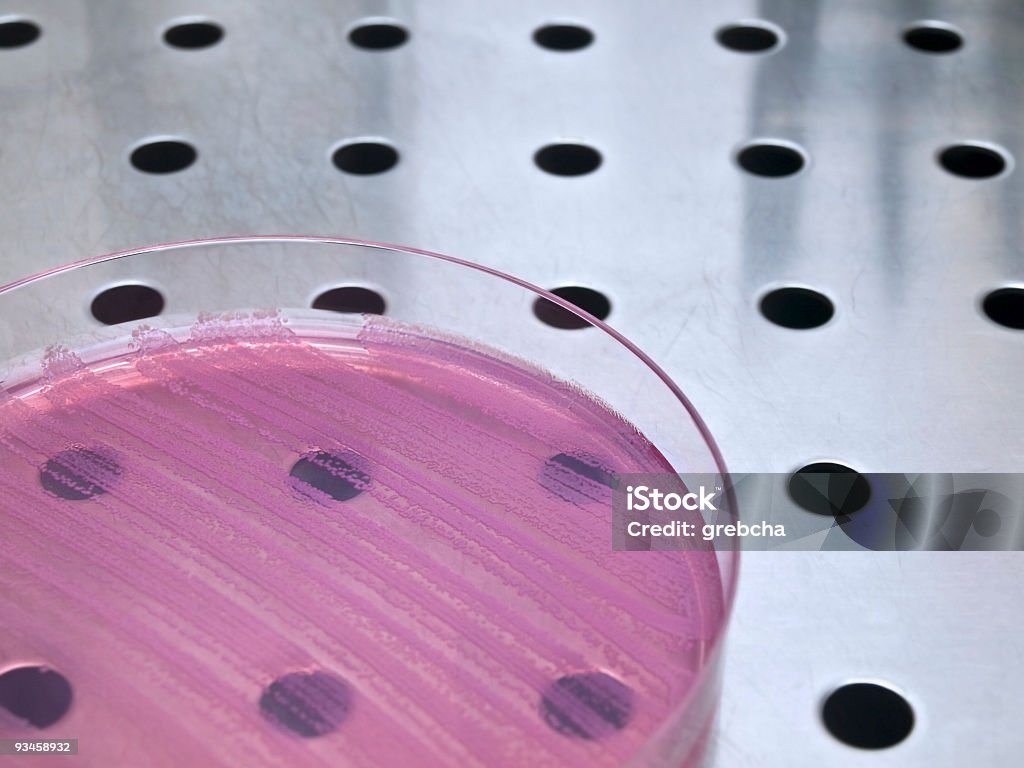 Placa de Petri com bactérias - Royalty-free Aço Foto de stock