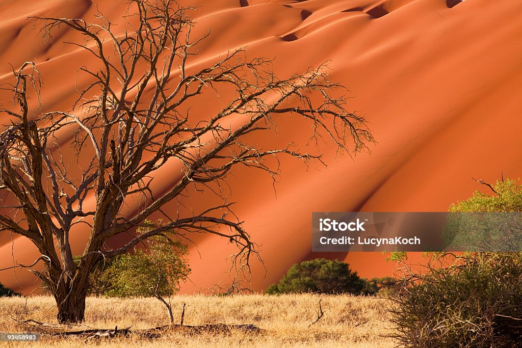 Duene du Namib - Photo de Afrique libre de droits