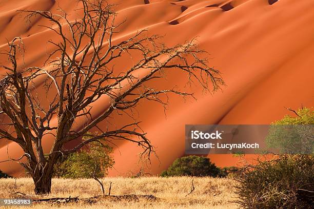 Photo libre de droit de Duene Du Namib banque d'images et plus d'images libres de droit de Afrique - Afrique, Arbre, Avril