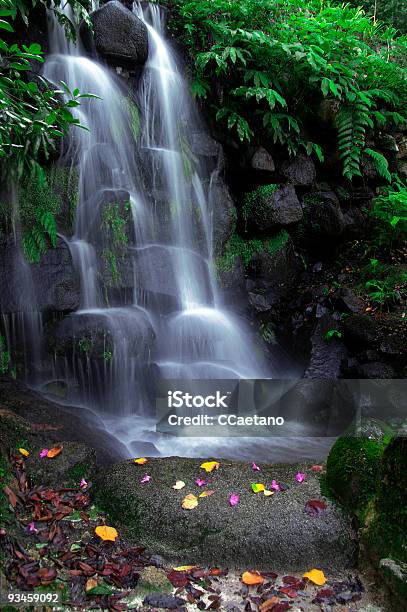 Водопад — стоковые фотографии и другие картинки Бегать - Бегать, Брызги, В стиле минимализма