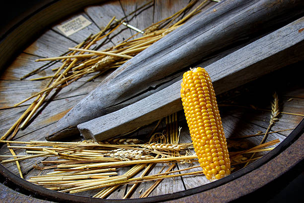 milho de carolo - wheat whole wheat close up corn on the cob imagens e fotografias de stock